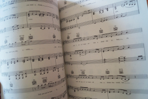 Tina Turner - What´s Love got to do... (mit Poster) Songbook Notenbuch Piano Vocal Guitar PVG