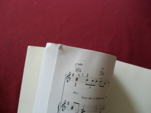 Paloma Faith - Best of Songbook Notenbuch Piano Vocal Guitar PVG