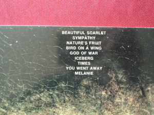 Rare Bird - Rare Bird Songbook Notenbuch Piano Vocal Guitar PVG