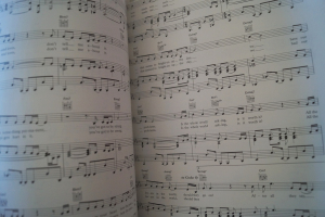 Simply Red - Life Songbook Notenbuch Piano Vocal Guitar PVG