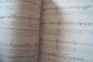 Steve Vai - Passion and Warfare Songbook Notenbuch Guitar