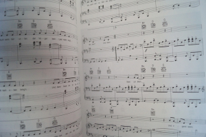 Bosse - Songbook 02 Songbook Notenbuch Piano Vocal Guitar PVG