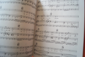 Iggy Pop - Collection Songbook Notenbuch Piano Vocal Guitar PVG