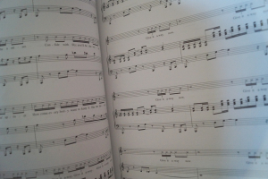 Red Hot Chili Peppers - Best of Songbook Notenbuch Piano Vocal Guitar PVG