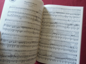 Toni Steingass - Erfolgslieder Songbook Notenbuch Piano Vocal Guitar PVG