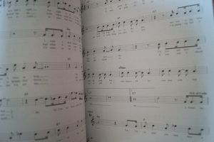 Beatles - The Beatles Easy Fakebook Songbook Notenbuch Vocal Guitar