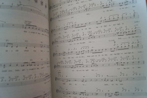 Billy Idol - Charmed Life (mit Poster) Songbook Notenbuch Vocal Guitar