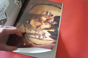 Billy Idol - Charmed Life (mit Poster) Songbook Notenbuch Vocal Guitar