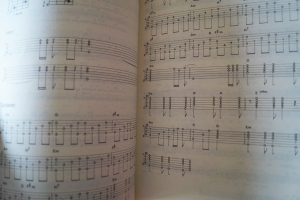 Klaus Lage - Songbook Songbook Notenbuch Vocal Guitar