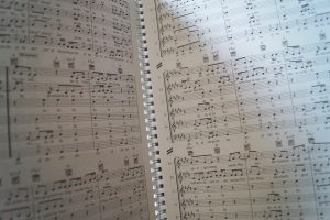Wise Guys - Wo der Pfeffer wächst Songbook Notenbuch Vocal Guitar