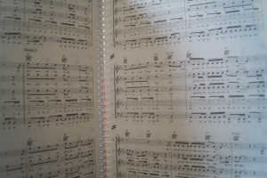Wise Guys - Klassenfahrt Songbook Notenbuch Vocal Guitar