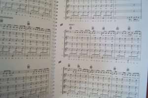 Wise Guys - Zwei Welten Songbook Notenbuch Vocal Guitar