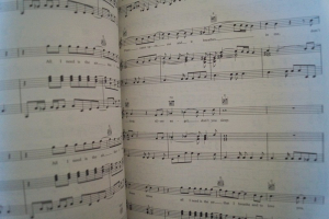 Simply Red - Blue Songbook Notenbuch Piano Vocal Guitar PVG