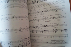 Stone Temple Pilots - Core Songbook Notenbuch Vocal Guitar