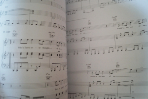 David Bowie - The Next Day Songbook Notenbuch Piano Vocal Guitar PVG
