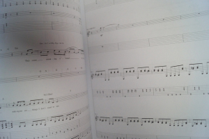 Peter Green - Best of Songbook Notenbuch Vocal Guitar