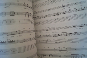 Ozzy Osbourne - The Best of Songbook Notenbuch Vocal Guitar