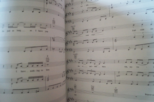 Jimi Hendrix - A Musician´s Collection Songbook Notenbuch Piano Vocal Guitar PVG