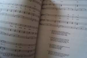 Joe Cocker - The Best of (grau) Songbook Notenbuch Piano Vocal Guitar PVG