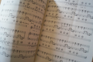 Simply Red - Stars Songbook Notenbuch Piano Vocal Guitar PVG