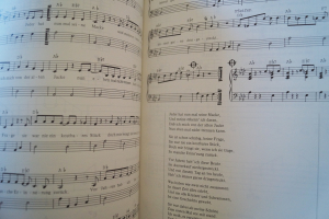 Reinhard Mey - Die Zwölfte Songbook Notenbuch Vocal Guitar