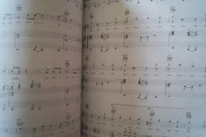 Simply Red - Simplified Songbook Notenbuch Piano Vocal Guitar PVG