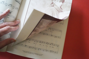 Suzanne Vega - Solitude Standing (mit Poster) Songbook Notenbuch Piano Vocal Guitar PVG