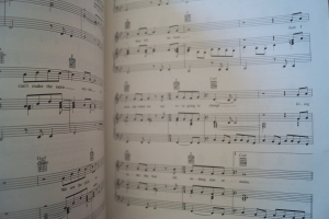 Tina Turner - Hot Songs Songbook Notenbuch Piano Vocal Guitar PVG