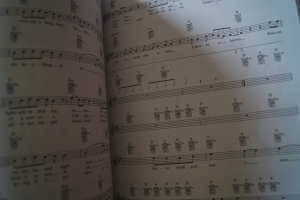 Green Day - Easy Guitar Anthology Songbook Notenbuch Vocal Easy Guitar