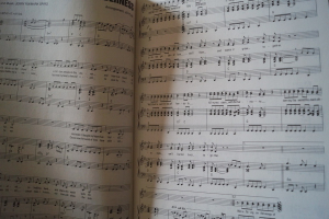 David Hasselhoff - Künstlerportrait Songbook Notenbuch Piano Vocal Guitar PVG