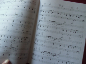 David Gray - The Hit Singles Songbook Notenbuch Piano Vocal Guitar PVG