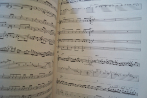 Steve Vai - Sex & Religion Songbook Notenbuch Vocal Guitar