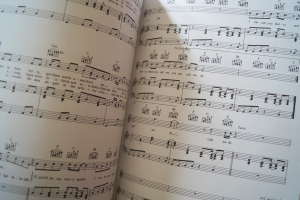 Paul Simon - Graceland Songbook Notenbuch Piano Vocal Guitar PVG