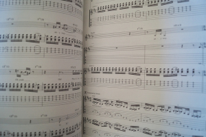 Red Hot Chili Peppers - Blood Sugar Sex Magik Songbook Notenbuch Vocal Guitar Bass