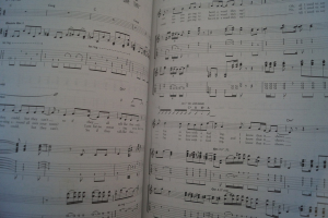 Babyshambles - Down in Albion Songbook Notenbuch Vocal Guitar