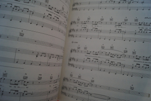 Blur - Blur Songbook Notenbuch Piano Vocal Guitar PVG