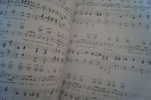 Diana Krall - The Girl in the other Room Songbook Notenbuch Piano Vocal Guitar PVG