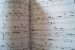 Gary Kemp - Little Bruises Songbook Notenbuch Piano Vocal Guitar PVG