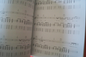 Ed Sheeran - Deluxe Guitar Playalong (mit Audiocode) Songbook Notenbuch Vocal Guitar