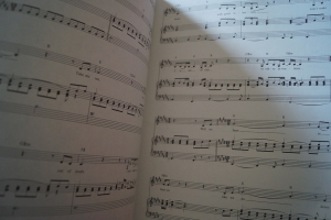 Sarah McLachlan - Surfacing Songbook Notenbuch Piano Vocal Guitar PVG