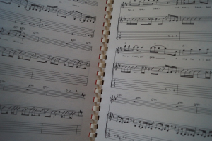 Led Zeppelin - Guitar Superstar Series (More) Songbook Notenbuch Vocal Guitar