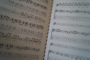 Led Zeppelin - Guitar Superstar Series (More) Songbook Notenbuch Vocal Guitar