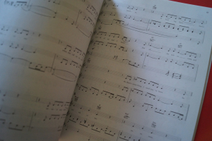 Gabriella Cilmi - Lessons to be learned Songbook Notenbuch Piano Vocal Guitar PVG