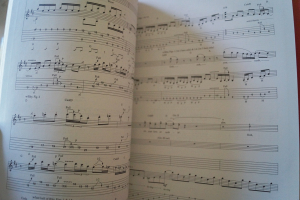 Tesla - Bust a Nut Songbook Notenbuch Vocal Guitar
