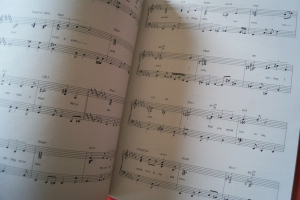 Barbra Streisand - Back to Broadway Songbook Notenbuch Piano Vocal Guitar PVG