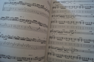 Black Crowes - The Guitar Collection Songbook Notenbuch Vocal Guitar