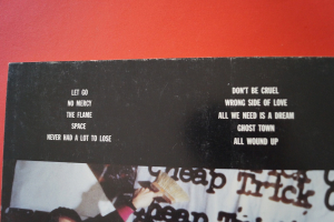 Cheap Trick - Lap of Luxury Songbook Notenbuch Piano Vocal Guitar PVG