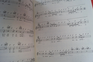 Crosby Stills Nash Young - Made easy for Guitar Songbook Notenbuch Vocal Easy Guitar