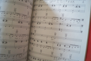 Melody Gardot - My one and only Thrill Songbook Notenbuch Piano Vocal Guitar PVG