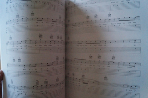 Rolling Stones - Collection Songbook Notenbuch Vocal Easy Guitar